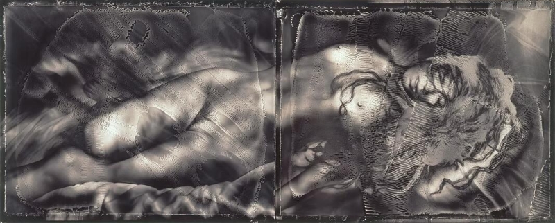 Venus Vegetal by Hiroshi Osaka
