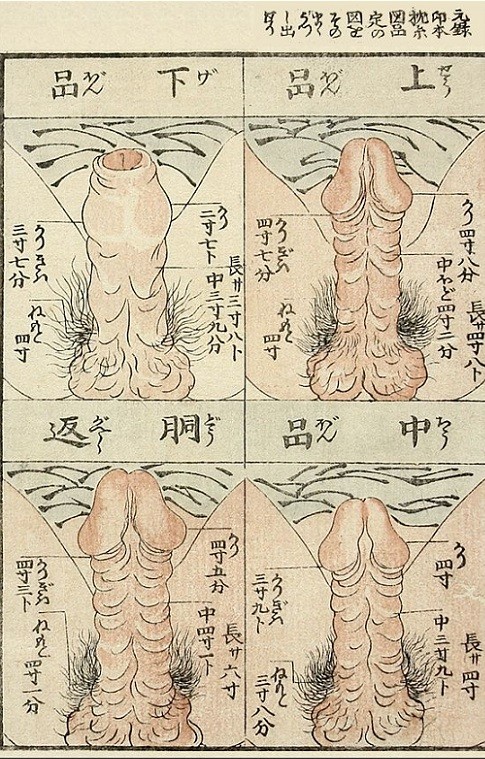 close up genitalia: Various penis close-ups by Keisai Eisen