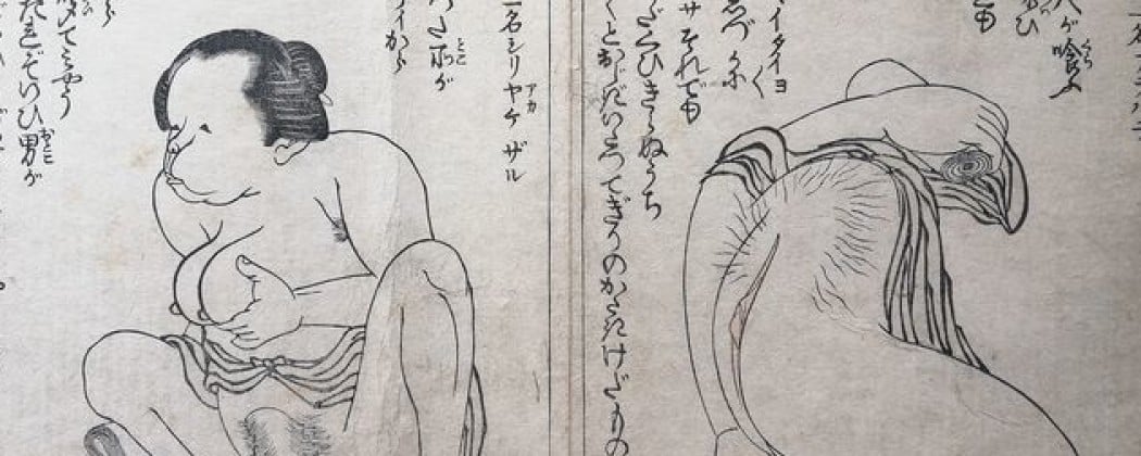 Hilarious Shunga Book with Grotesque Erotica by Akatsuki No Kanenari