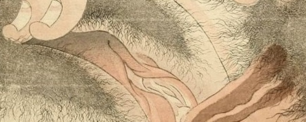 Striking Close-Up Intercourse Designs As Portrayed in Shunga Art