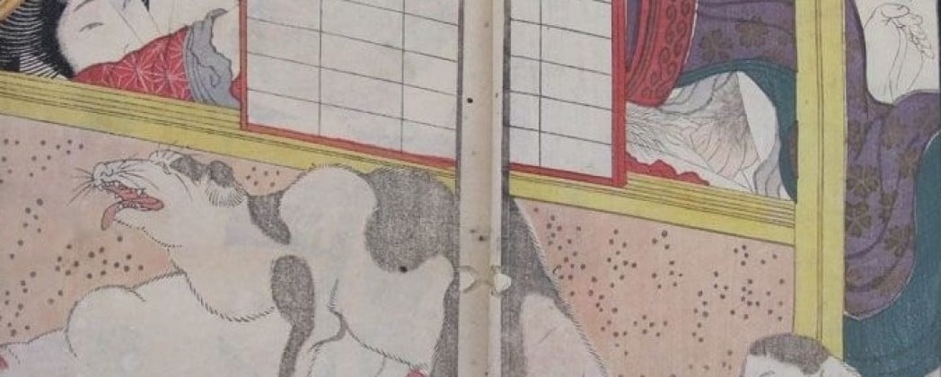 Yashima Gakutei or Hokusai? Who Designed These Amazing Shunga Books?