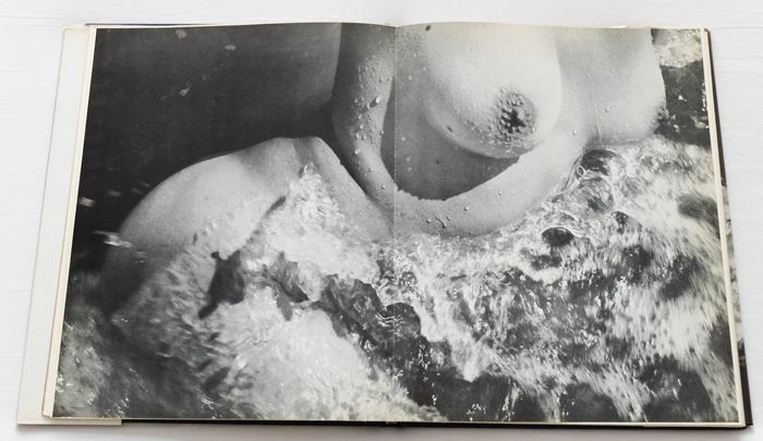 Corps Memorable: nude female in the waves 