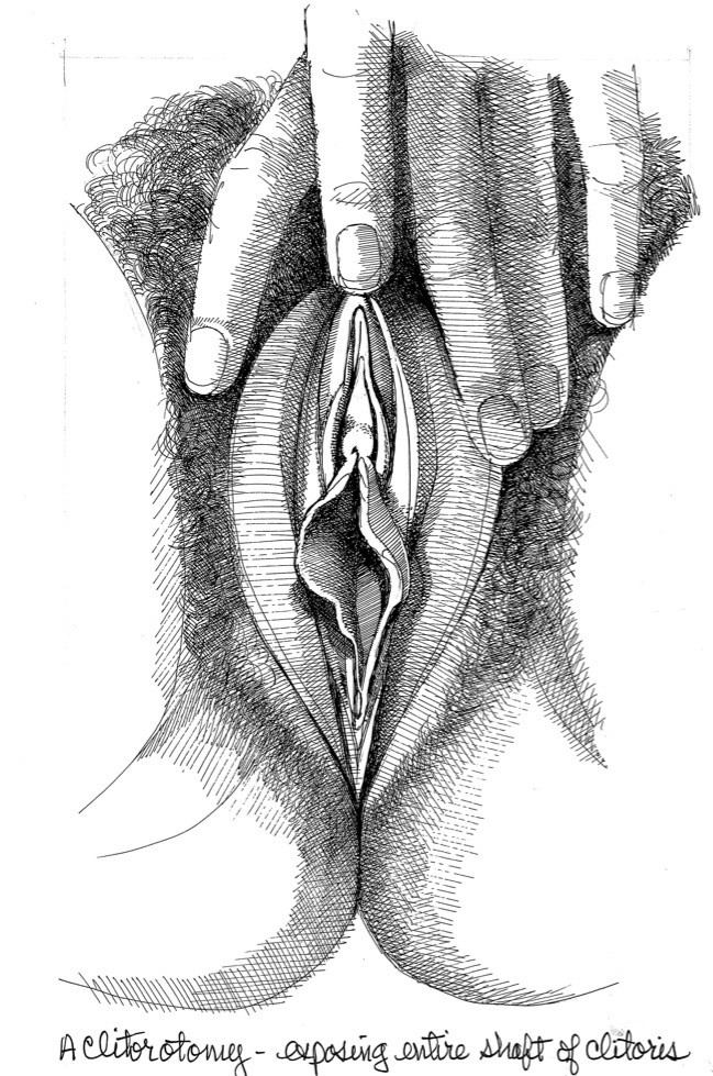 vulva art