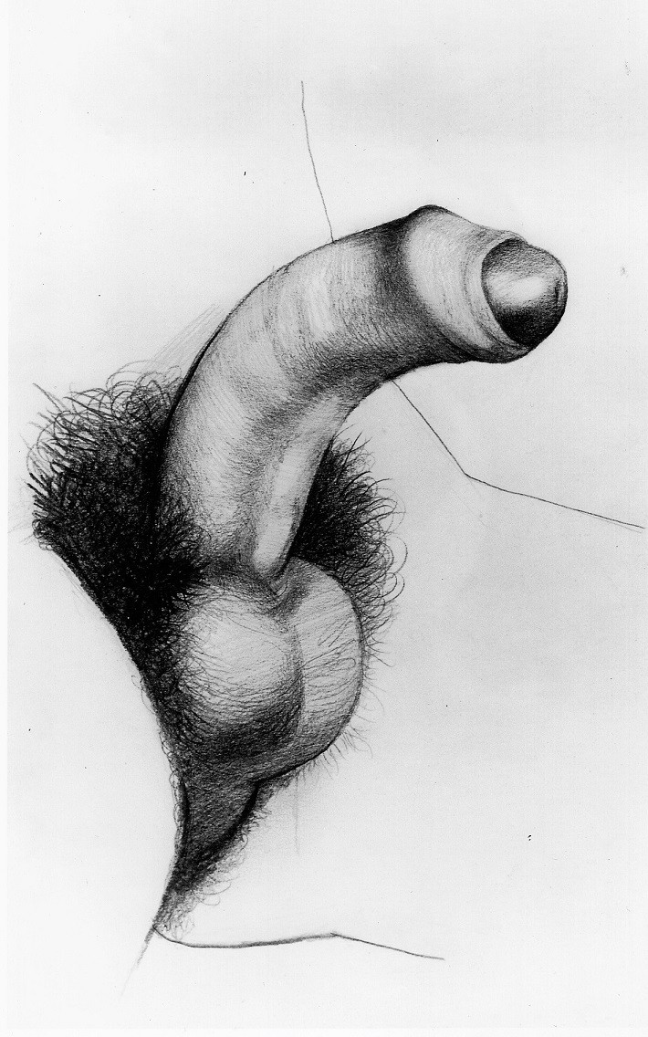 semi erect penis close up-