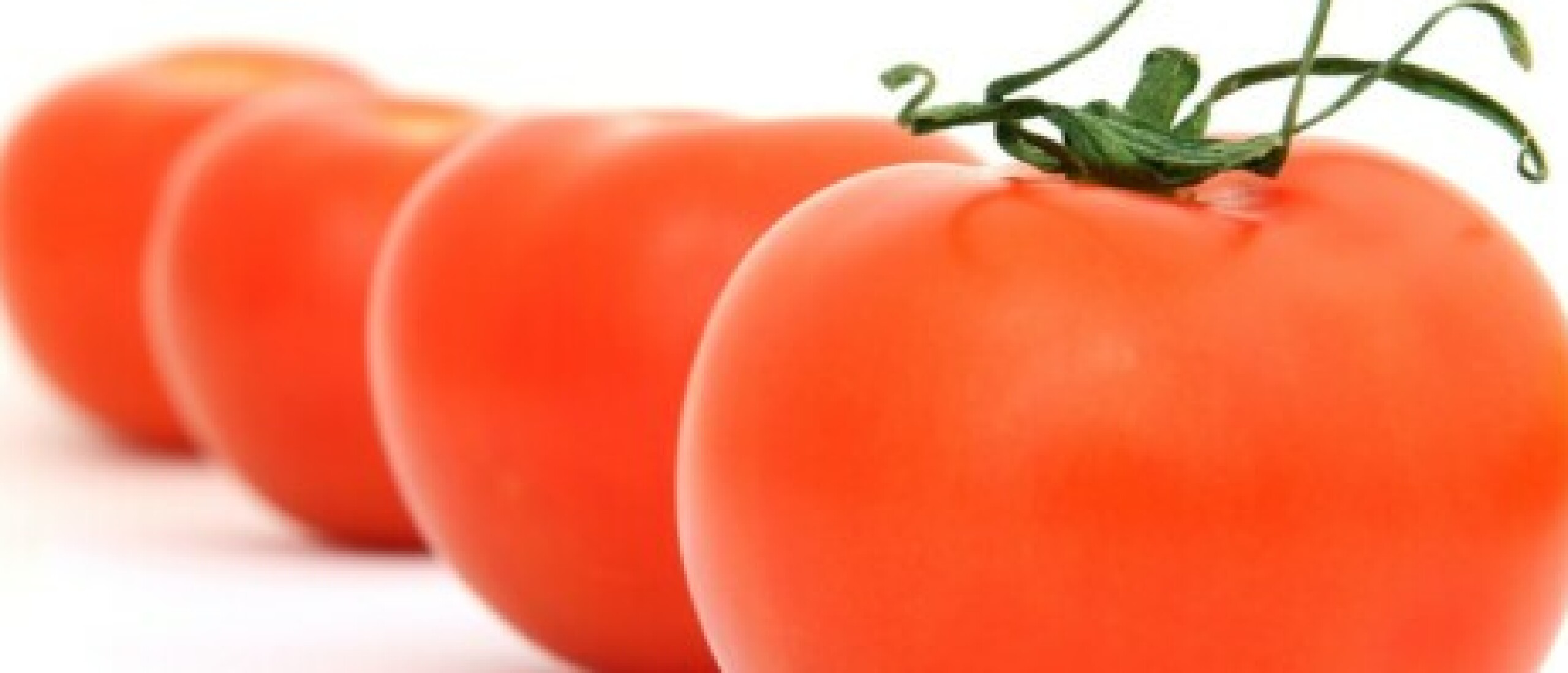 De grote tomatencheck: leg de verhalen van eindgebruikers op tafel