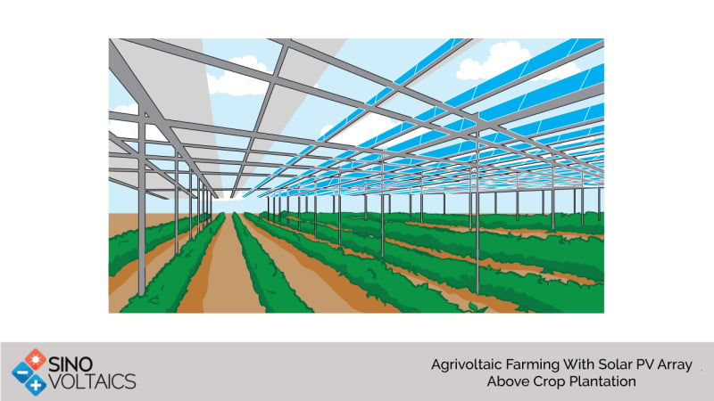 Agrivoltaic Farming With Solar PV Array Above Crop Plantation