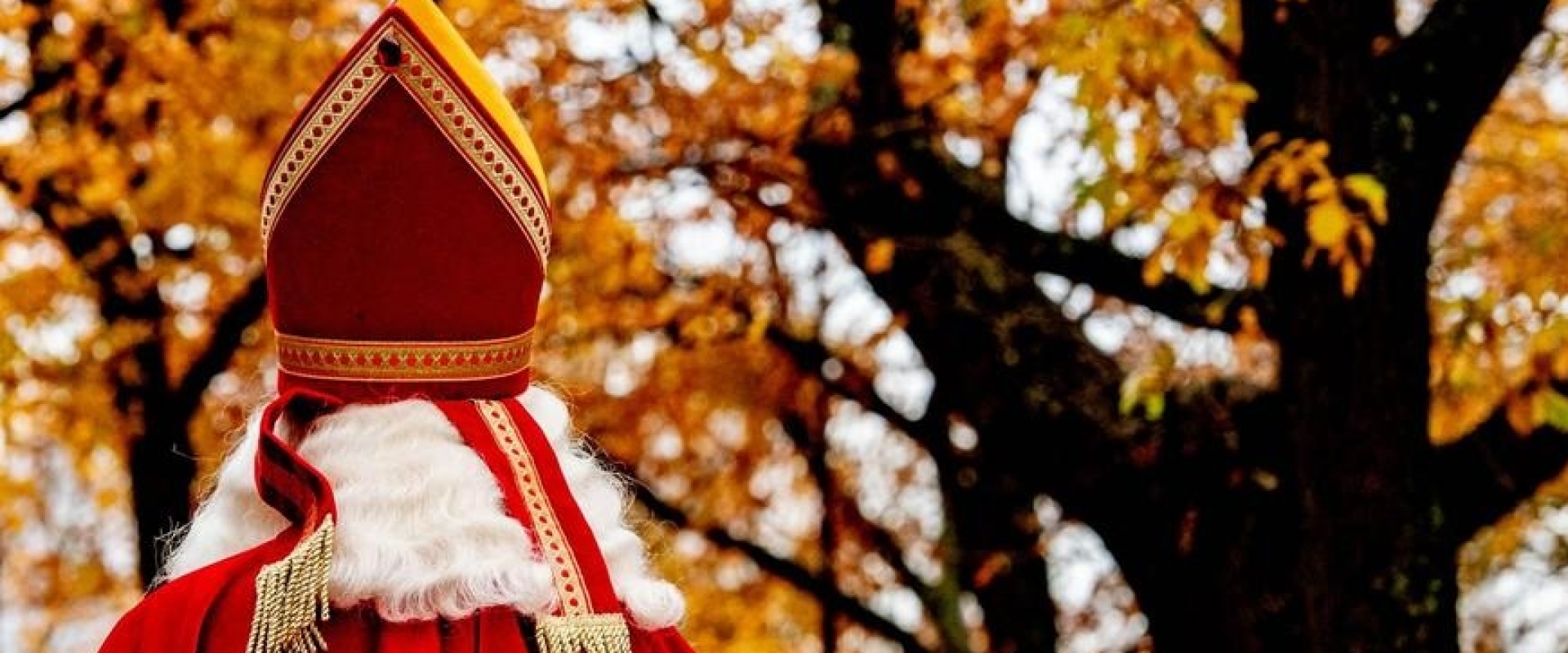Sinterklaas is an Expat