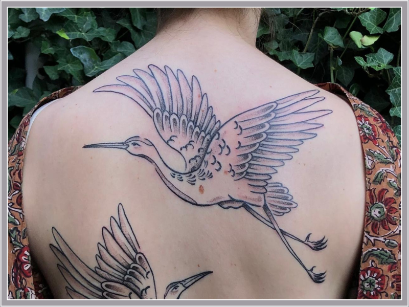 Kraanvogel tattoo