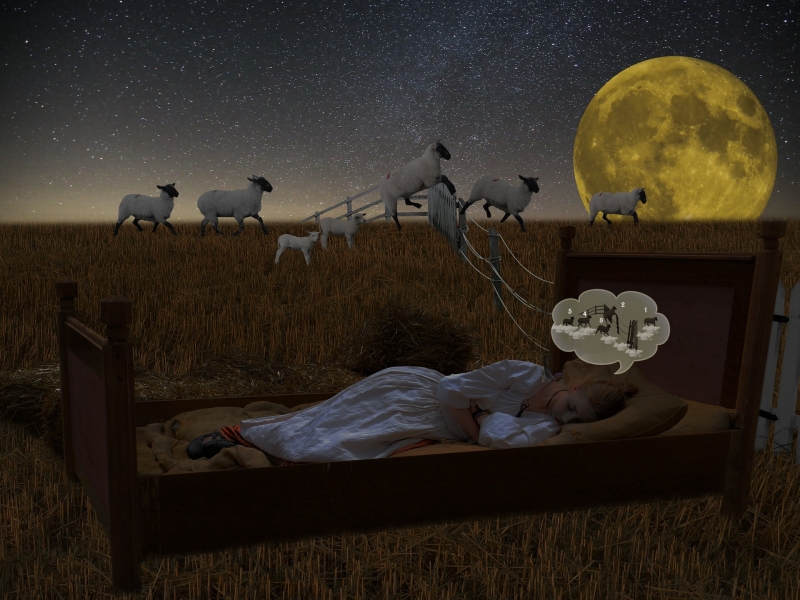 slapende-vrouw-in-bed-en-schaapjes-en-maan