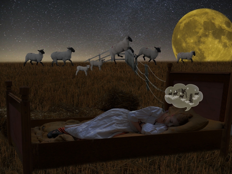 slapende-vrouw-in-bed-en-schaapjes-en-maan