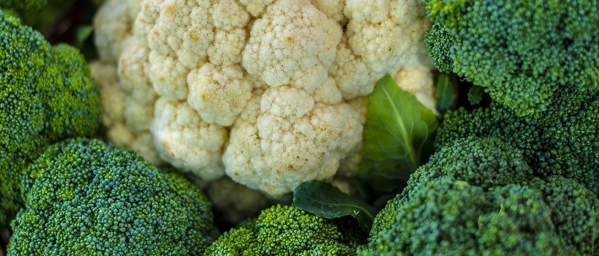 Bloemkool Broccoli Puree