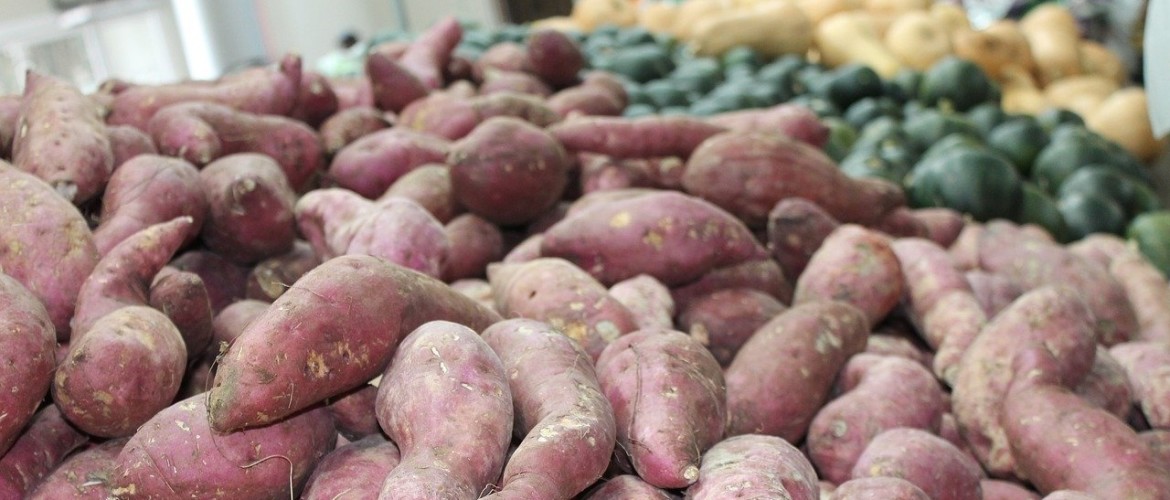 Zoete aardappel en een koolhydraatarm dieet