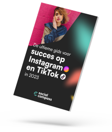 Succesgids op Instagram & TikTok 2023 bookcover