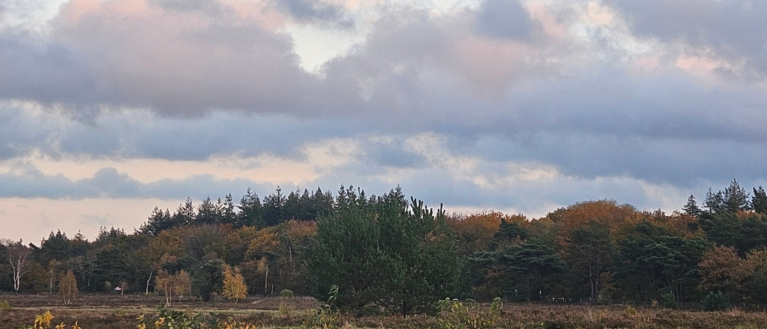 Nieuwe vrienden maken tijdens SocialMix Wandelclub in Bussum
