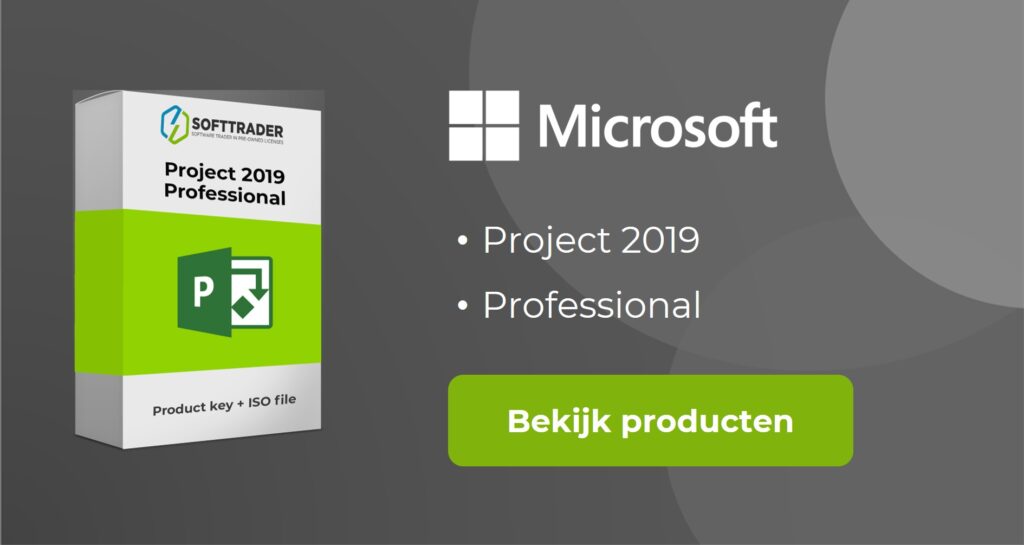 microsoft project 2019 professional