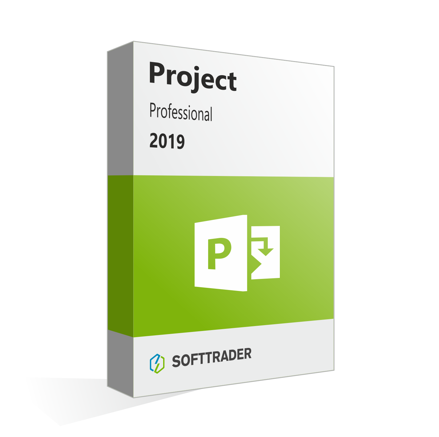 Microsoft Project 2019 Professional