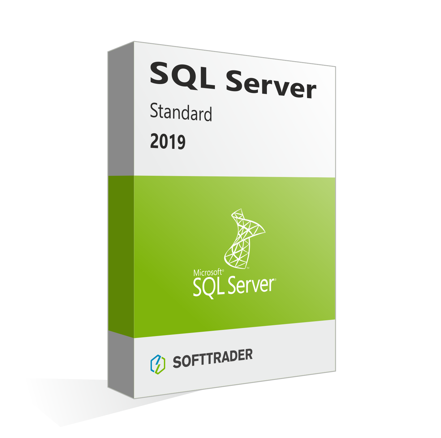 Microsoft SQL Server 2019 Standard