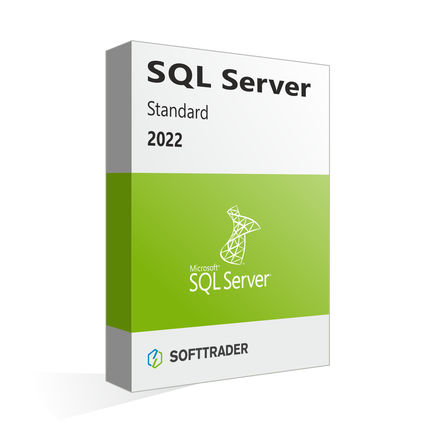 Microsoft SQL Server Standard 2022