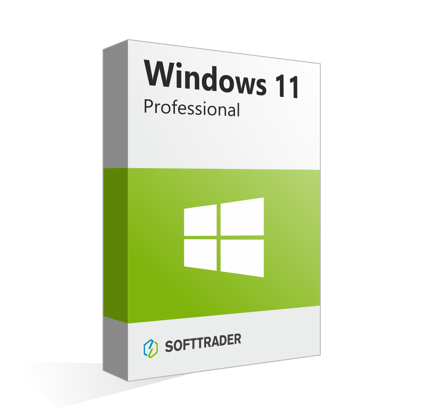 Microsoft Windows 11 Professional