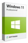 Caja de productos Windows 11 Professional