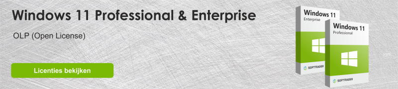 Windows 11 Windows 11 banner