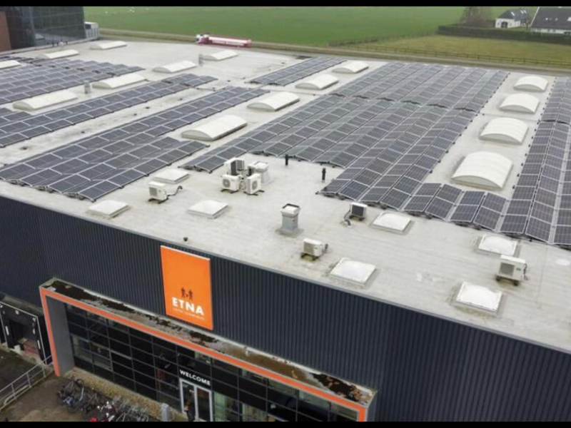 solar group holland