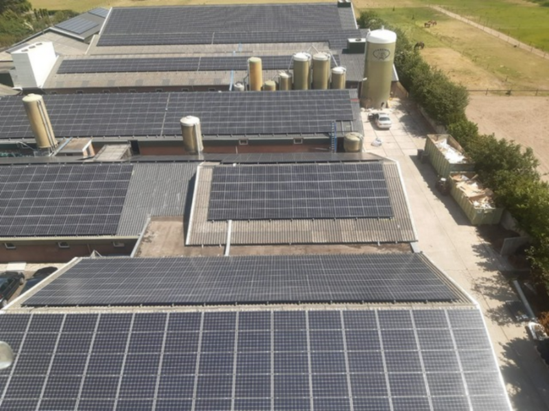 solar group holland