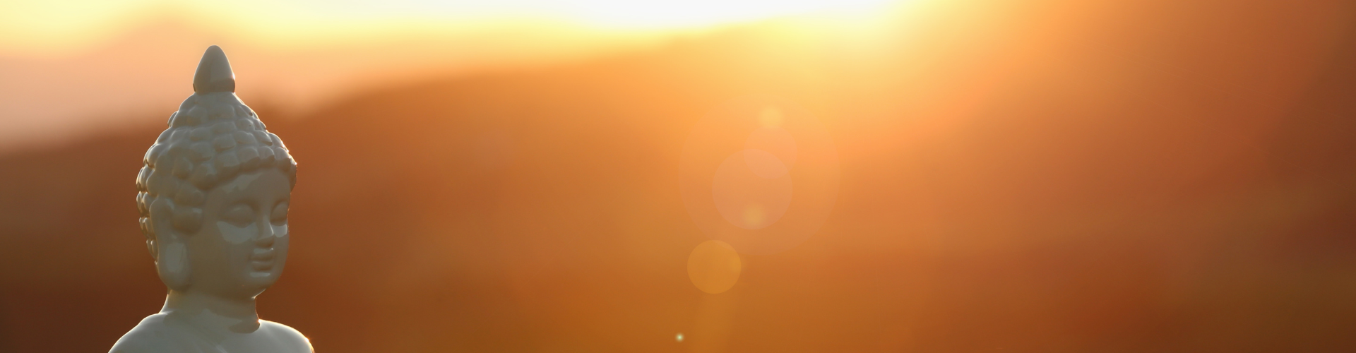 Soul Coach Opleiding Somatisch lichaamsgericht ademwerk innerlijk kind schaduwwerk zielsdelen trauma-release hypnotherapie transformatie energie essentie holistisch regressie