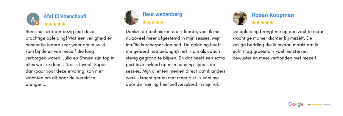 web-google-review-somatisch-soul-coach-opleding-2
