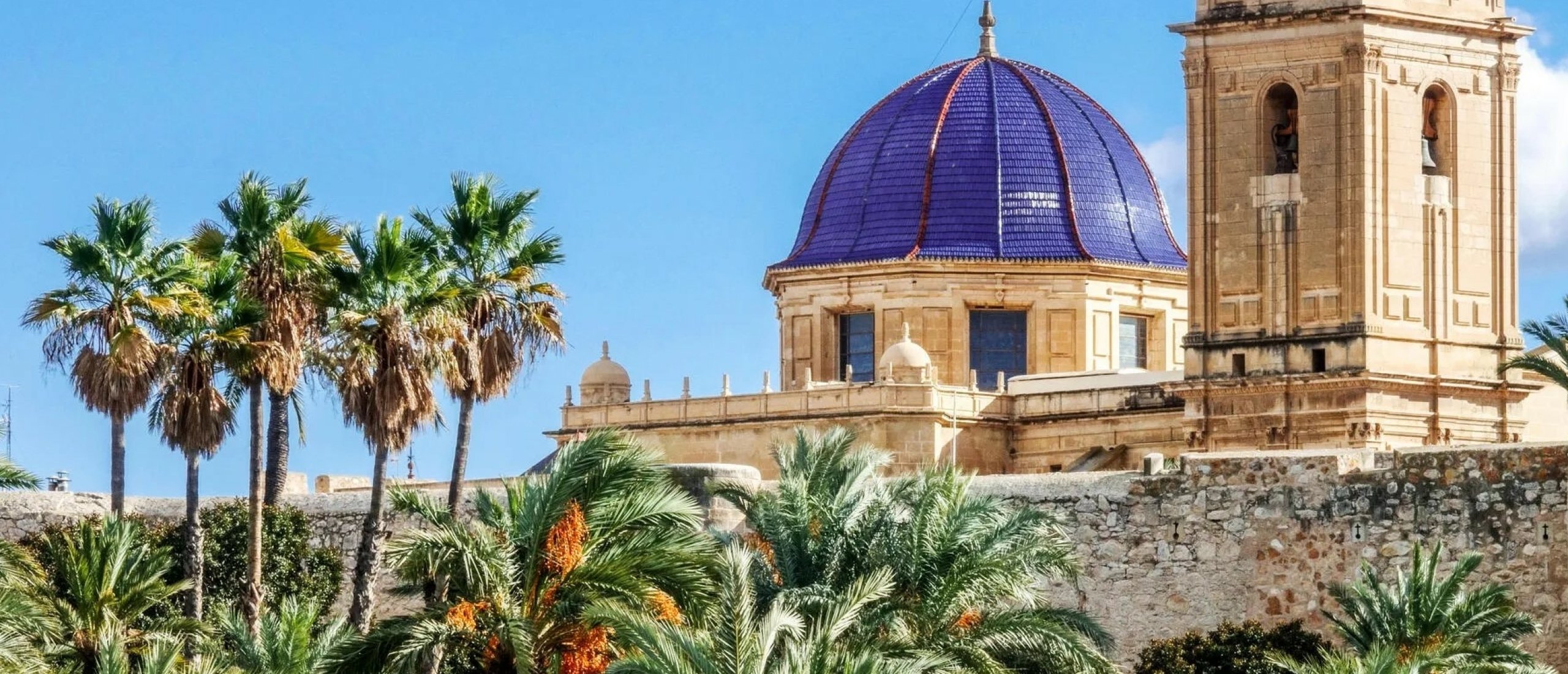 Elche: Een Stad Vol Historie, Cultuur en Natuurlijke Schoonheid