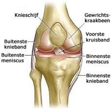 Intra-articulaire knie