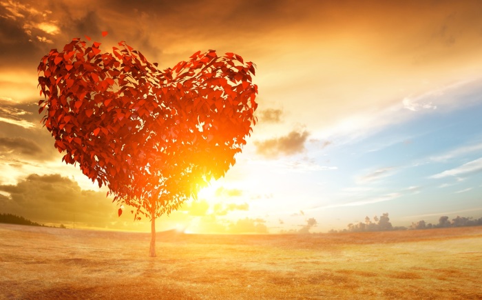 Alles is liefde