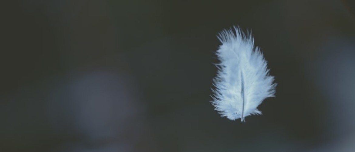 Witte veren als teken van de engelen: wat betekent dit?