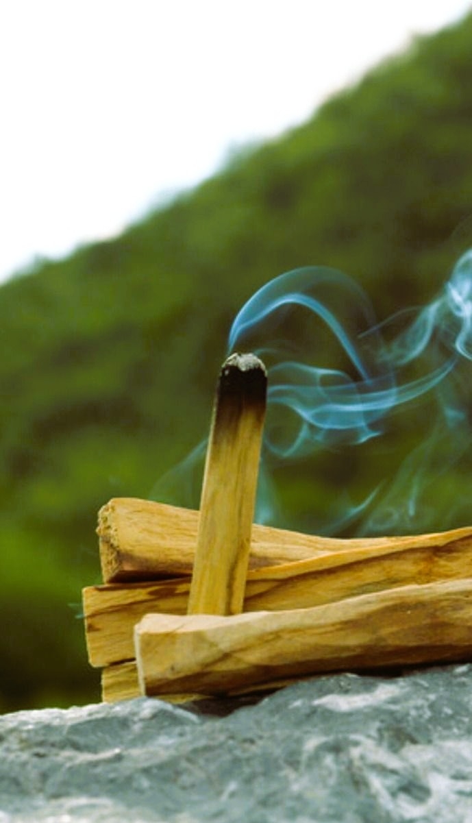 Salie of palo santo brandend met rook voor energetische huisreiniging