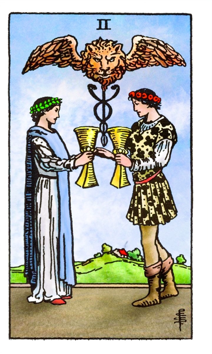 De Dwaas tarotkaart 0 met klassieke symbolen: witte roos, hond en de afgrond