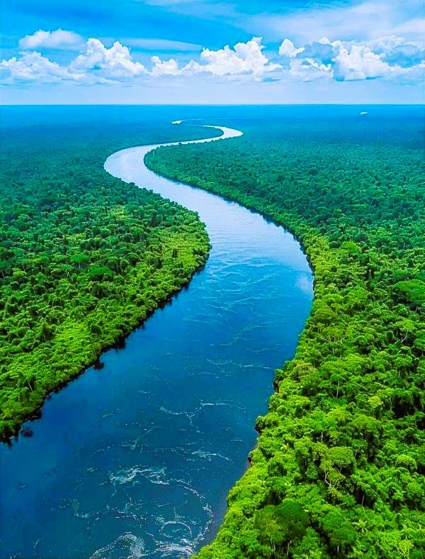 Inheemse gemeenschappen van Suriname aan rivier en kust - Karina en Lokono dragen piay-tradities in waterrijke leefomgeving