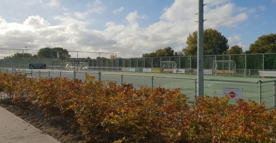 Sportveld huren Schiedam
