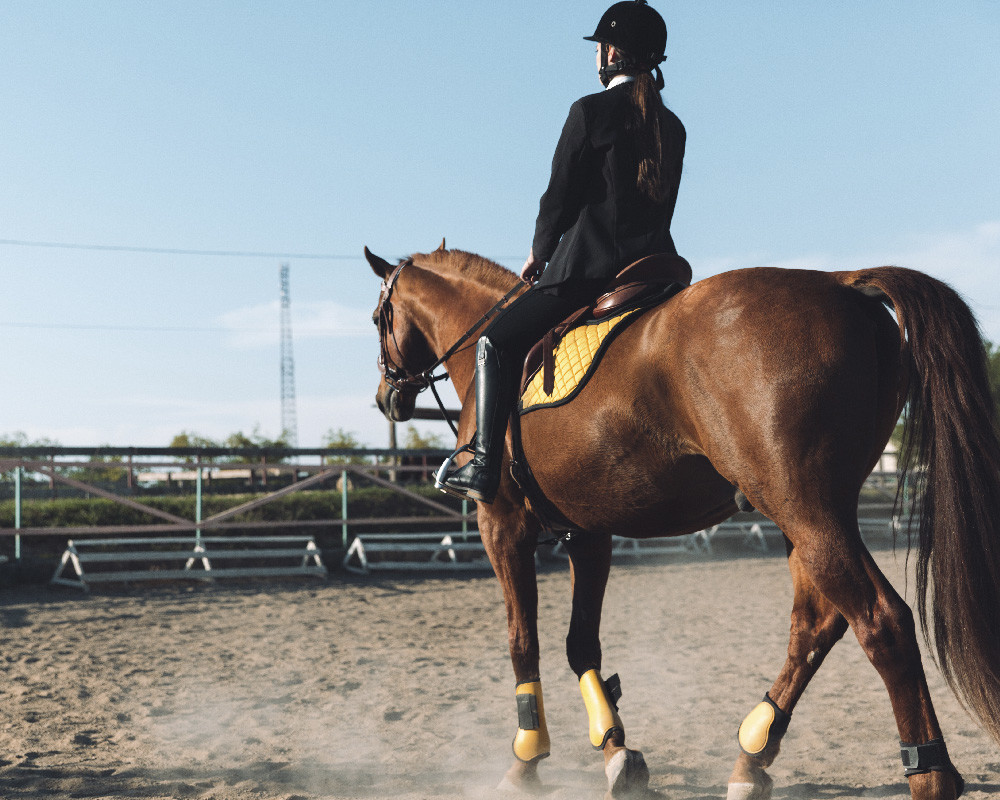 Is paardrijden een sport? Is op een paardrijden een sport of niet?