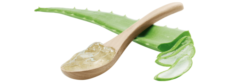 aloe vera huid