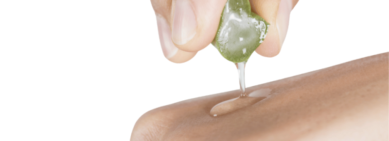 aloe vera na ipl
