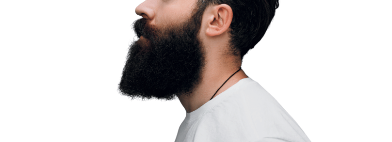 beste baardtrimmer lange baard beste baardtrimmer lange baard