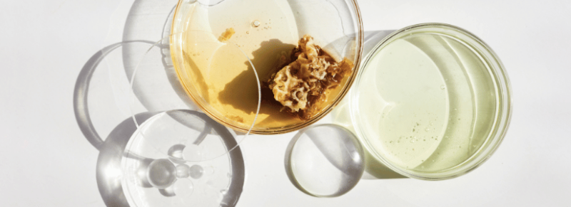 nieuwe paula's choice serum