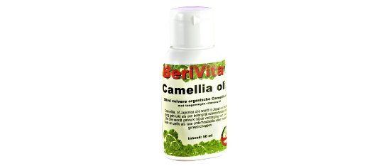 Camellia olie