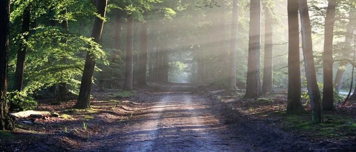 Wat kun je aankijken zonder weg te kijken bij een levenseinde?