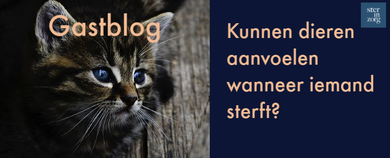 Kunnen dieren aanvoelen wanneer iemand sterft?
