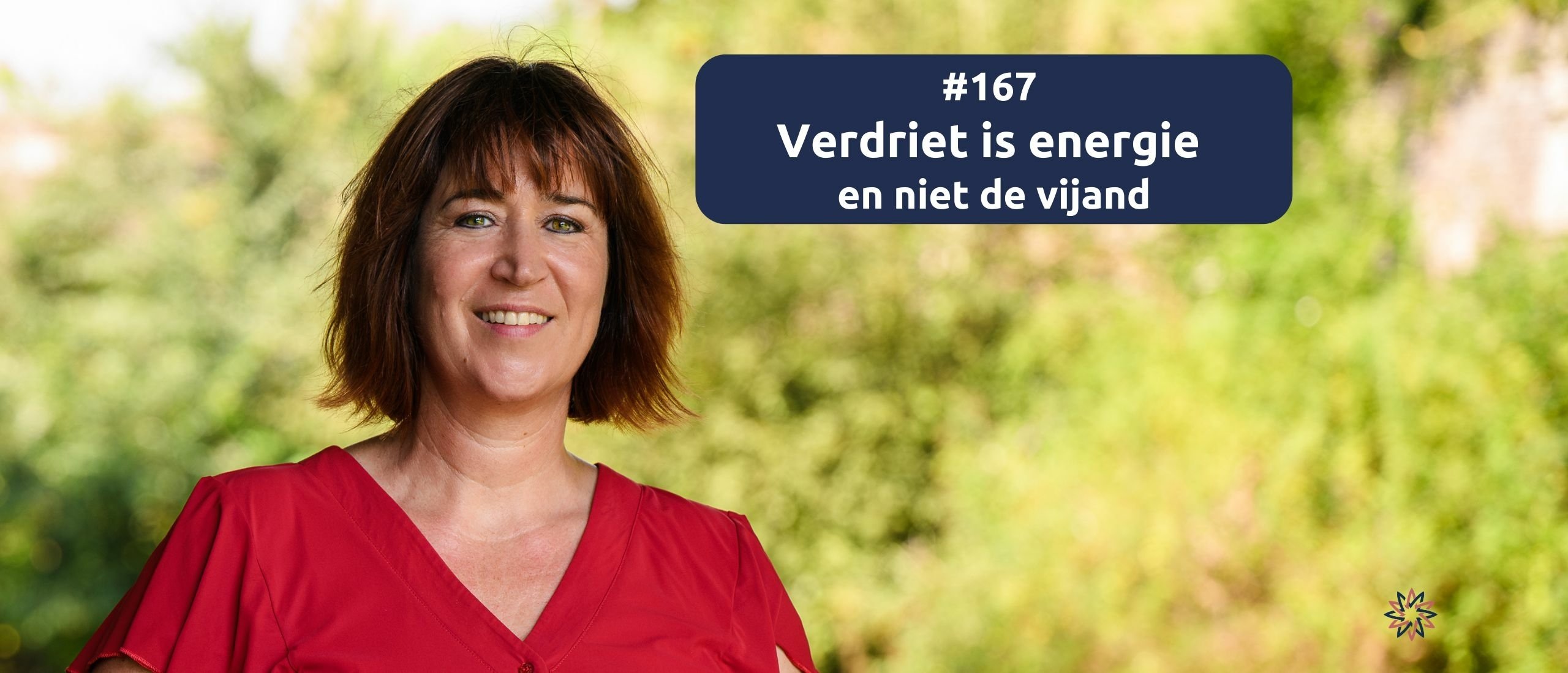 #167  Verdriet is energie en niet de vijand