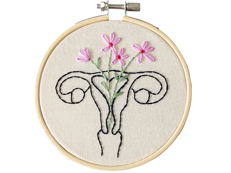 Embroidery kit Uterus Stitchmilk