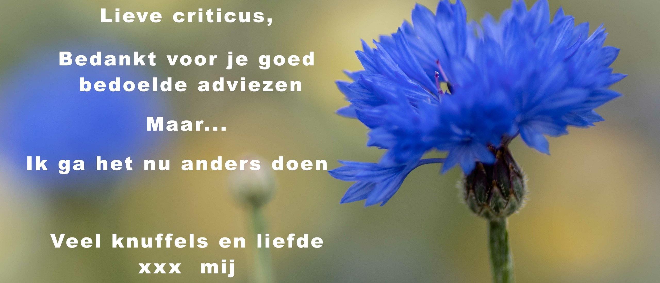 criticus-bedankt