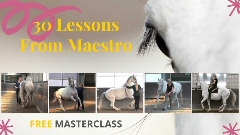 30 lessons from Maestro