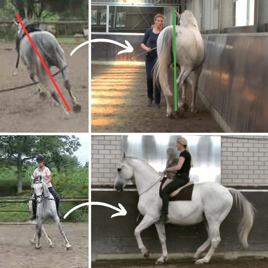 Straightness Training - why it works